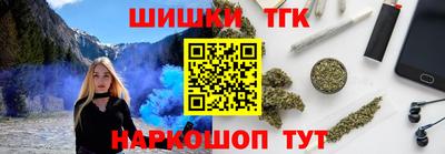 индика Можайск