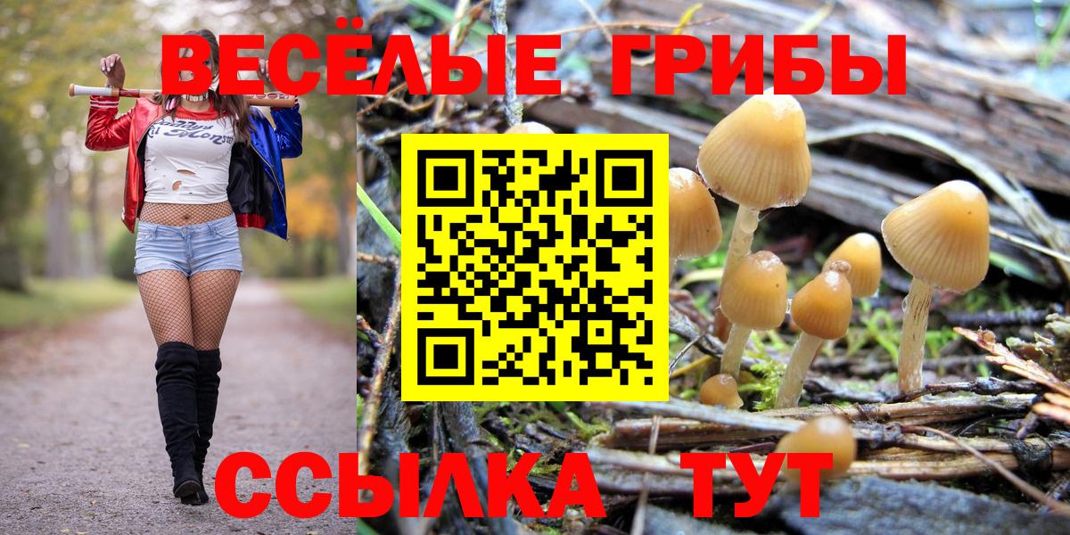 Геленджик  Галлюциногенные грибы Cubensis  Вход с VPN  Галлюциногенные грибы Psilocybine cubensis 